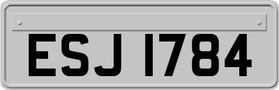 ESJ1784