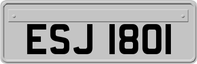 ESJ1801