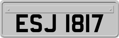 ESJ1817