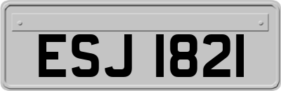 ESJ1821