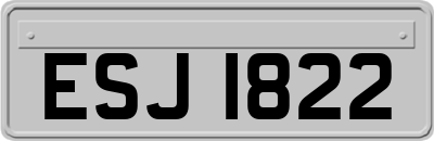 ESJ1822