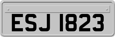 ESJ1823