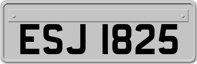 ESJ1825