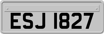 ESJ1827