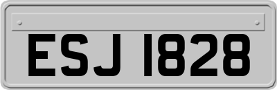 ESJ1828