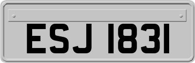 ESJ1831