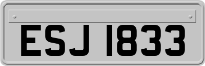 ESJ1833