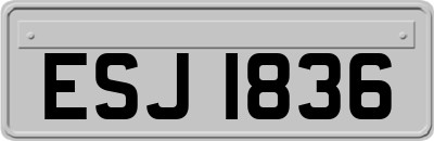 ESJ1836