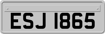 ESJ1865