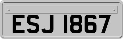 ESJ1867