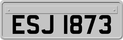 ESJ1873