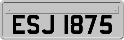 ESJ1875