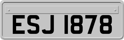ESJ1878
