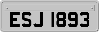 ESJ1893
