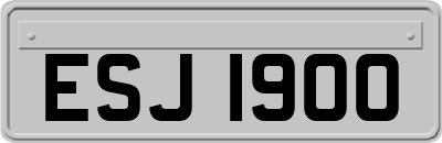 ESJ1900