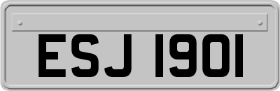 ESJ1901