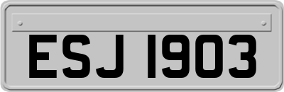 ESJ1903