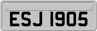 ESJ1905