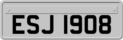 ESJ1908
