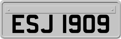 ESJ1909