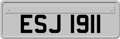 ESJ1911
