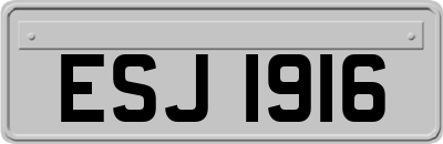 ESJ1916