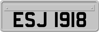 ESJ1918