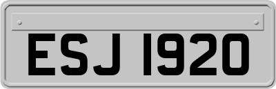 ESJ1920