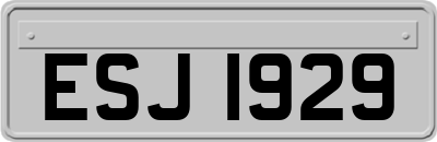 ESJ1929