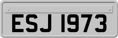 ESJ1973