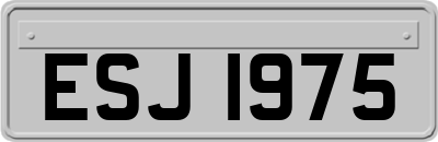 ESJ1975
