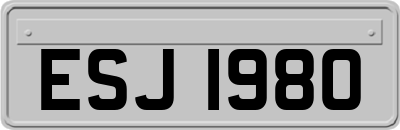 ESJ1980
