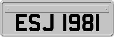 ESJ1981