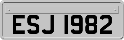 ESJ1982