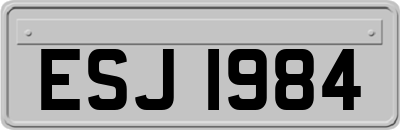 ESJ1984