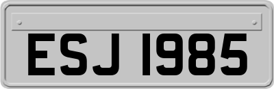 ESJ1985