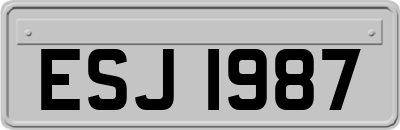 ESJ1987