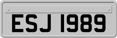 ESJ1989