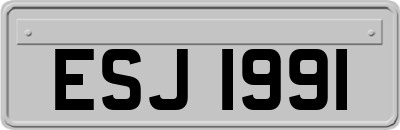 ESJ1991