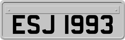 ESJ1993