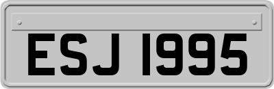 ESJ1995