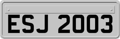 ESJ2003