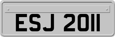ESJ2011
