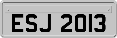 ESJ2013