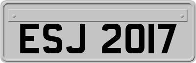 ESJ2017