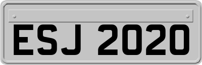 ESJ2020