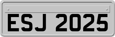 ESJ2025
