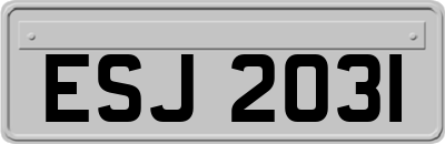 ESJ2031
