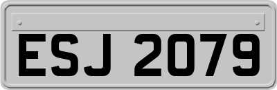 ESJ2079