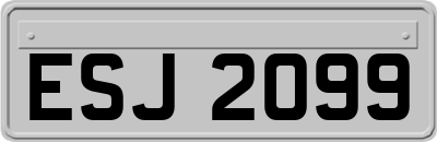 ESJ2099